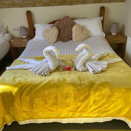 Aquarius B&B New Quay Buitenkant foto