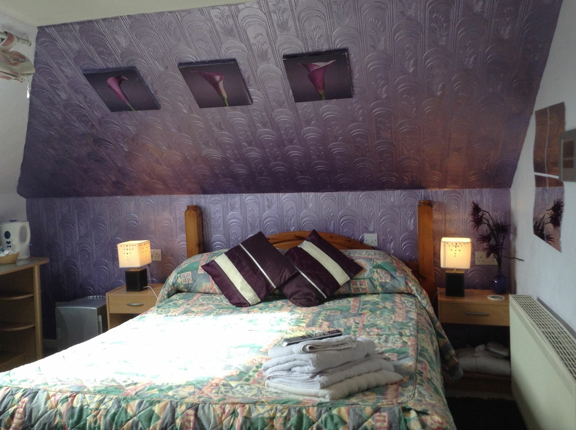 Aquarius B&B New Quay Buitenkant foto